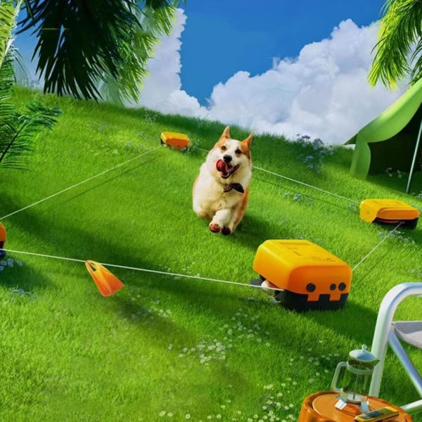 CGLYYDS Dog Agility Training Equipment for Large & Medium & Small Dogs,Interactive Dog Toys,Pet Outdoor Games,for unleashing their playful nature and providing exercise