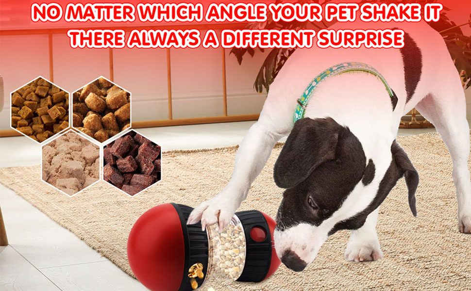 Interactive Dog Toys