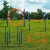 CHEERING PET Agility Training Equipment for Dogs, Dog Obstacle Course, Exercise Fun for Pets…