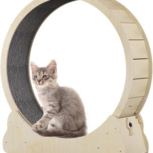 Cat Exercise Wheel Indoor,Loss Weight Device Sports Equipment For Pets,With Carpeted Runway And Locking Mechanism,For Cat ‘S Physical Activity & Reducing Boredom,Woodcolor-M