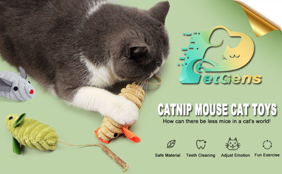  Cat Toys Catnip Mouse Toys Cat Toys for Indoor Cats Adult