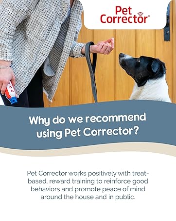 Pet Corrector