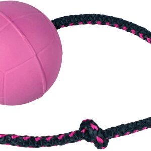 DINGO BIBI Ball 30 cm Handle Floating on Water Filled Rubber Dog Toy with String Pulled Through the Inside for Dog Training Retrieve Agility Reward Fun Blueberry 17255