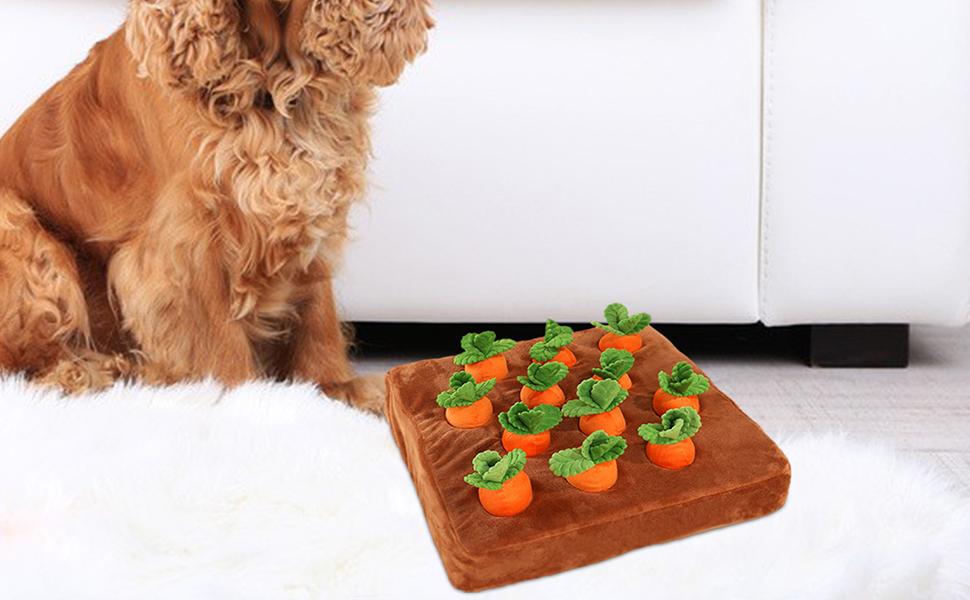 Carrot Patch Dog Toy