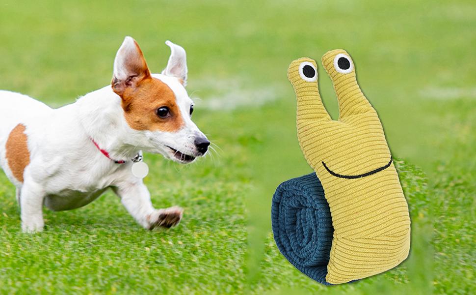 Dog Enrichment Toys