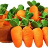 Dog Carrot Plush Toy, GODR7OY 12 Squeaky Carrots Enrichment Dog Puzzle Toys