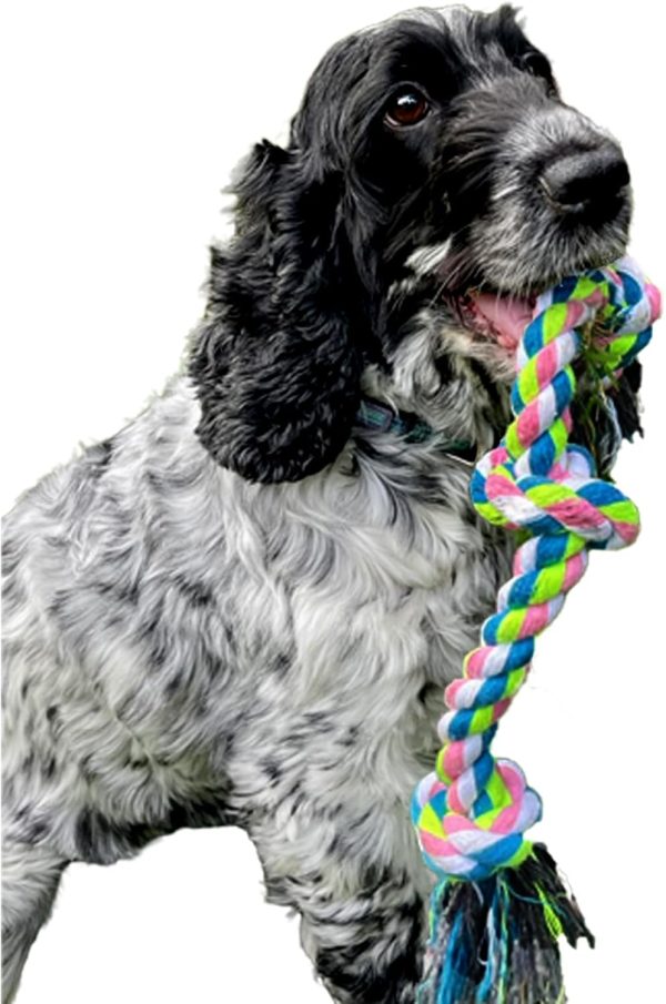 Dog Rope Toy, Tough Chew Toy, 40cm 3 Knots Natural Cotton Tug of War Teeth Cleaning Small Medium Dogs