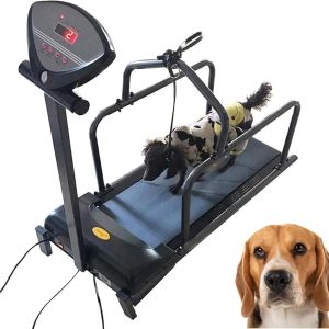 Dog Treadmill, Pet Training Machine with LED Display Screen, Walking Dog Pet Smart Training Equipment, Load of176 Pounds for Pets Exercise and Lose Weight