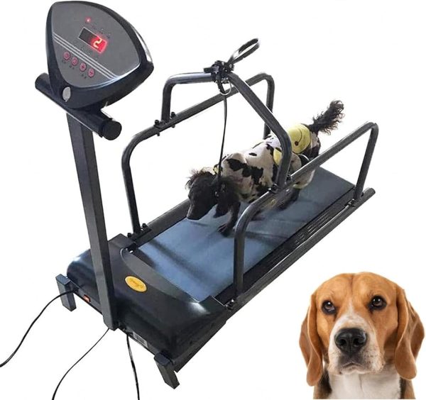 Dog Treadmill, Pet Training Machine with LED Display Screen, Walking Dog Pet Smart Training Equipment, Load of176 Pounds for Pets Exercise and Lose Weight