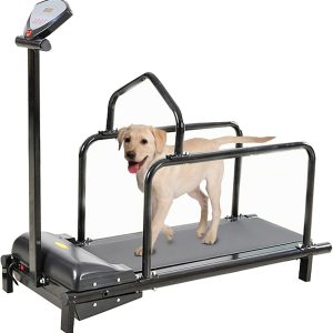 Dog Treadmill for Large Dogs - Indoor Pet Running Machine for Medium Dogs Exercise - Doggy Treadmill for Small & Medium Dogs - Portable Dog Exercise Equipment