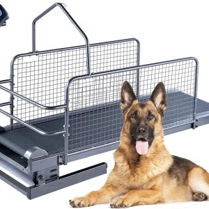 Dog Treadmill for Large Medium Dogs, with LCD Display Screen - Indoor & Outdoor Pet Exercise Equipment, Speed 0.8-12 Km/H, Easy to Assemble