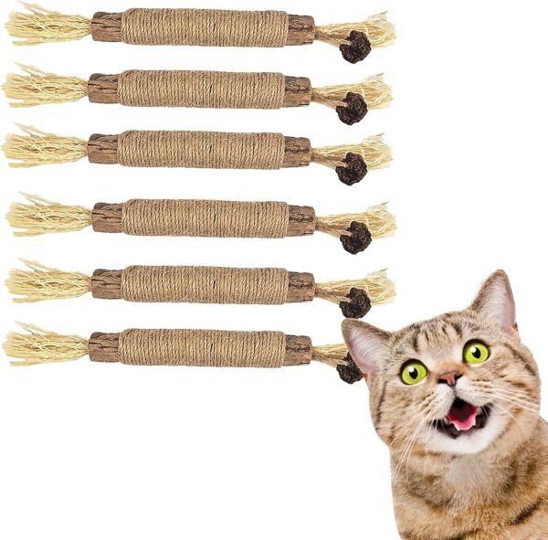 FAST-FX 6 Pcs Natural Sticks Kitten Teething Toys,Natural Cat Teeth Nip Cleaning Teeth,Chew Catnip Chew Toys,Natural Cat Chew Toys for Indoor Cat Teeth Cleaning Kitten Teething and Stress Release