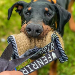 Doberman Jute toy fenrir tug