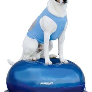 FitPAWS Donut Dark Blue for Dog Fitness and Agility by