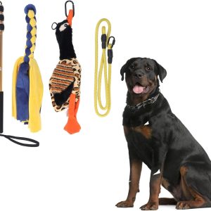 Flirt Pole for Dogs Chase and Tug of War, Interactive Toys with Rope Lure Teaser Wand for Outdoor Training and Exercise, Teaser Stick for Small Medium Large Pets, 52 Inch