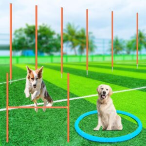 Glimin Dog Agility Training Equipment Dog Agility Set Training Kit Dog Obstacle Course Backyard includes Weave Poles Adjustable Hurdle Pause Box Outdoor Games for Dog Pet Indoor Outdoor Backyard