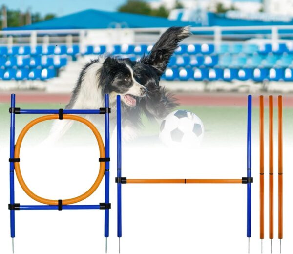 HLGKBY 28 Piece Dog Agility Equipments, Obstacle Courses Training Starter Kit, Pet Outdoor Games for Backyard Includes Jumping Ring, High Jumps, Slalom Poles with Carrying Case, Building mutual trust