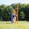HLGKBY Dog Agility Weave Poles Dog Agility Training Equipment Keep Pets Healthywith Adjustable Spacing for Dog Obstacle Course Outdoor