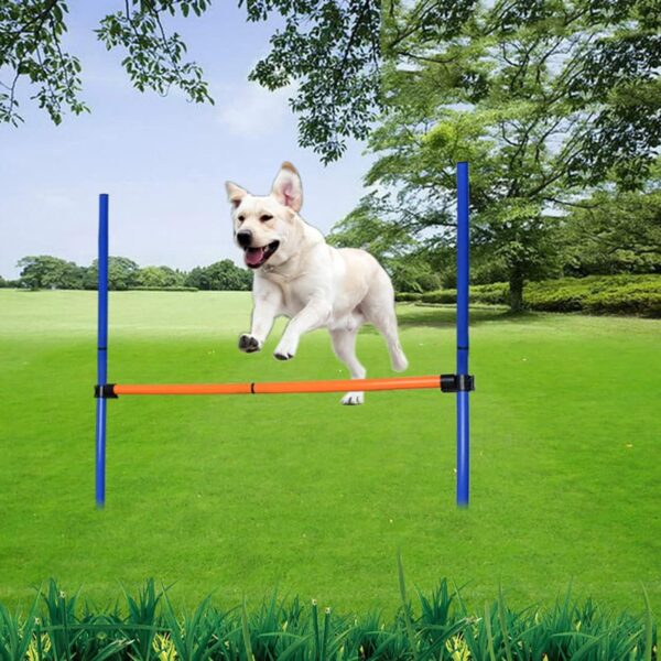 HLGKBY Pet Obstacle Courses Training Starter Equipments, Dog Agility Equipments, Outdoor Games for Backyard, Pet Interaction, Keep Pets Healthy