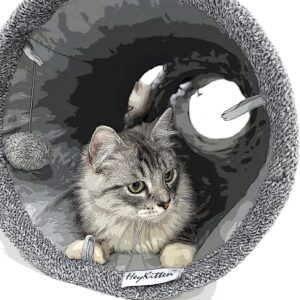 HeyKitten 12 x 50 Collapsible Crinkle Cat Play Tunnel, Hide-and-Seek Pet Toys for Indoor Kittens, Puppies, Bunnies, Rabbits and Small Dogs