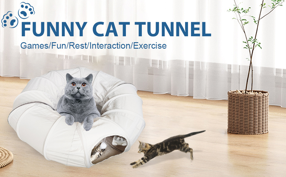 cat tunnel