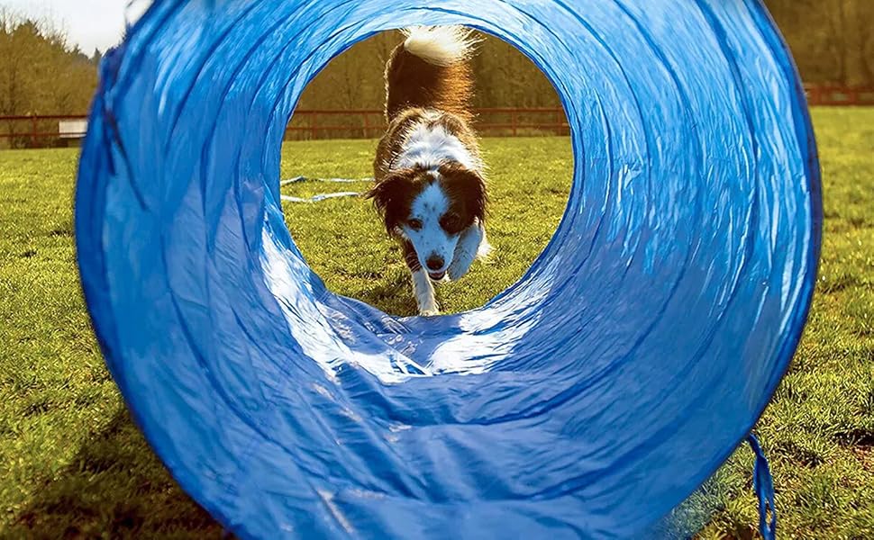 dog training tunnel