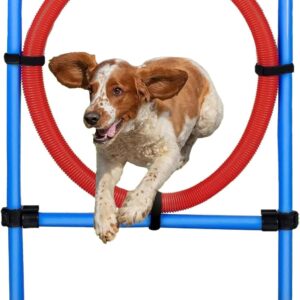 Kuvias Dog Jump Ring Agility Hoops Set - Durable Hoopers Dog Agility Hoops Training Equipment Outdoor Play Jumping with Adjustable Connectors & Height Snaps - Horse Jumps Dog Training Toys