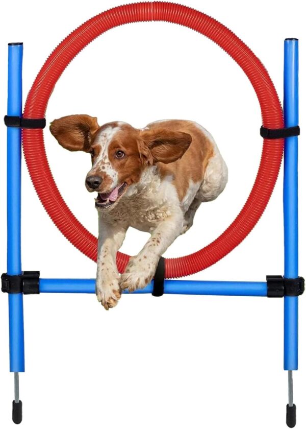 Kuvias Dog Jump Ring Agility Hoops Set - Durable Hoopers Dog Agility Hoops Training Equipment Outdoor Play Jumping with Adjustable Connectors & Height Snaps - Horse Jumps Dog Training Toys