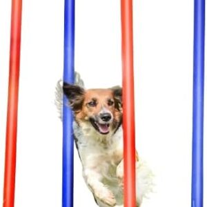 Kuvias Dog Slalom Poles Set - Durable Dog Agility Training Equipment Set Outdoor Play Agility Course with 4 Weave Poles - Pet Mental Focus & Physical Sports Training Slalom Poles Dog Training Toys