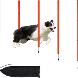 LUBORN Dog Agility Jumps, Agility Weave Poles