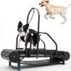Lakenbroade Dog Treadmill for Large/Medium Dogs, Adjustable Ramp Canine Running Slatmill Machine with Pedometer for Exercise & Healthy & Fit Pet Life, Up to 300LBS