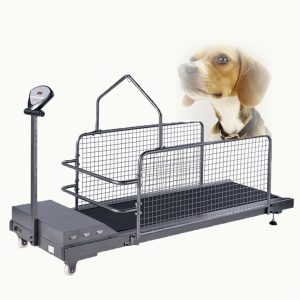 Lnlscle Pet Treadmill, Dog Running Machine with Safety Fence, Pet Workout Fitness Equipment for Small/Medium/Large-Sized Dogs Indoor Exercise