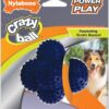 Nylabone POWER PLAY Interactive Fetch Toys for Dogs l Enrichment Dog Toys for the Ultimate Playtime Experience