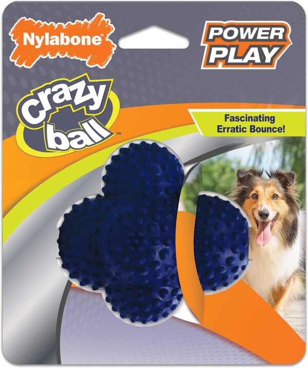 Nylabone POWER PLAY Interactive Fetch Toys for Dogs l Enrichment Dog Toys for the Ultimate Playtime Experience