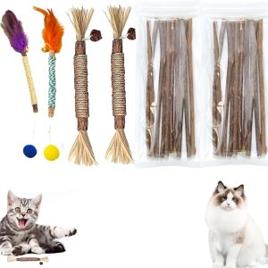 PRVCFZ 24 PCS Silvervine Chew Sticks for Cats, Cat Chew Sticks, Cat Catnip toys, Teeth Grinding Chew toys for Cat, Dental Catnip Toys for Cat Kitten for Indoor Kitten Teething and Stress