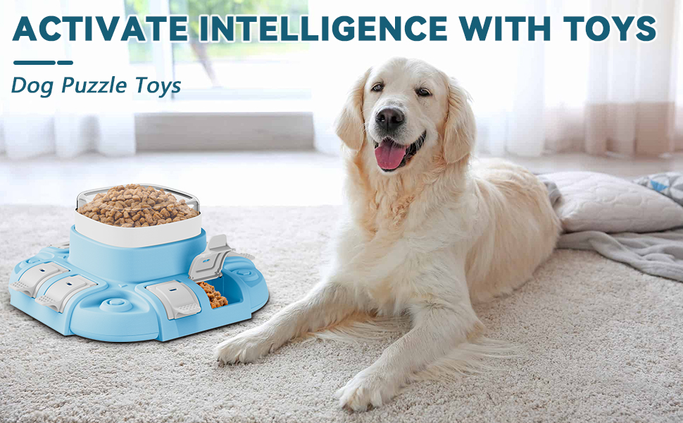 dog puzzle toys