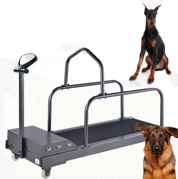 Pet Dog Indoor Treadmill, Dog Treadmill Medium Dogs, Dog Running Machine Exercise Equipment, Dog Treadmill For Indoor & Outdoor. Dog Treadmill For Dogs Up To 220 Lb