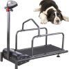 Pet Dog Running Training Machine, Indoor Exercise Dog Treadmill Animal Supplies, Dog Training Equipment for Small Dogs Exercise and Weight Loss, Adjustable Speed, 176lb Bearing Weight
