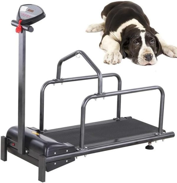 Pet Dog Running Training Machine, Indoor Exercise Dog Treadmill Animal Supplies, Dog Training Equipment for Small Dogs Exercise and Weight Loss, Adjustable Speed, 176lb Bearing Weight