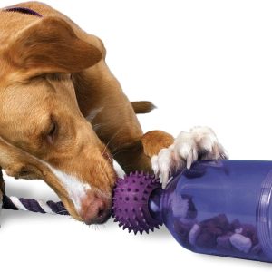 PetSafe Busy Buddy Tug-A-Jug Meal-Dispensing Dog Toy Use with Kibble or Treats,Blues & Purples,M/L