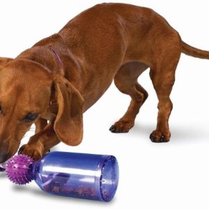 PetSafe Busy Buddy Tug-A-Jug S and Interactive Meal Dispensing Dog Toy, Purple, Small