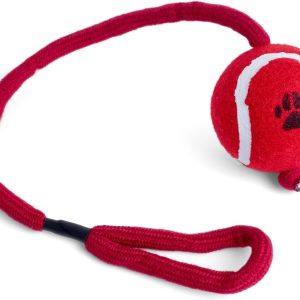 Petface Super Tennis Balls Dog Toy