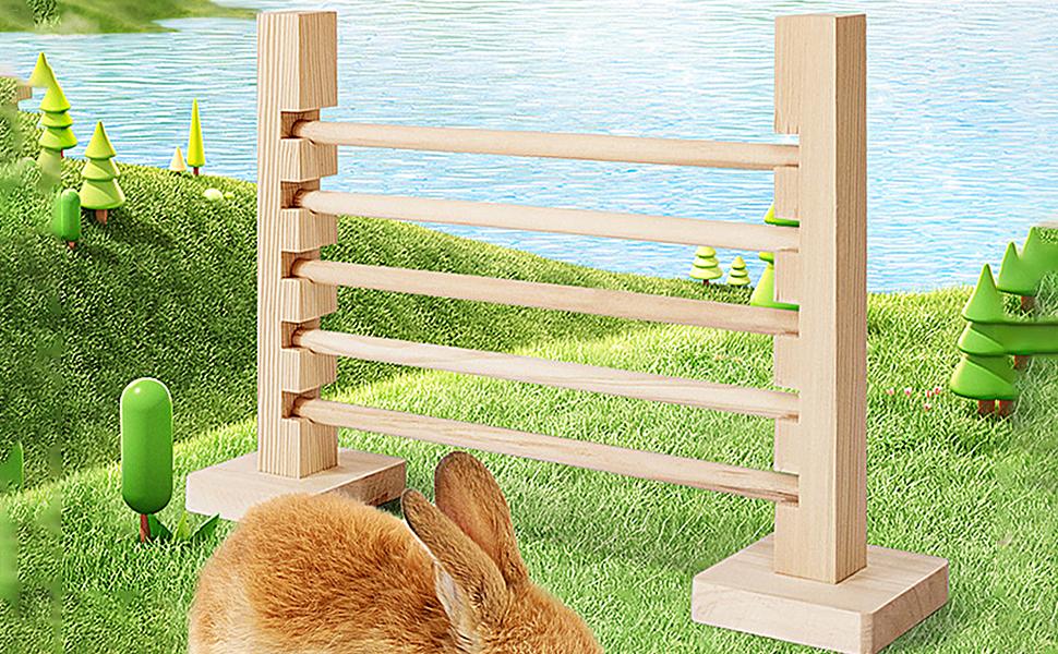 Rabbit Exercise Obstacle