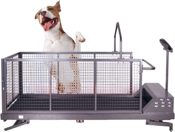 SUN RDPP Indoor Large Dogs Exercise Treadmill, Dog Treadmill Walkable Ramp Workout Equipment, Large Dogs Self Propelled Indoor Exercise