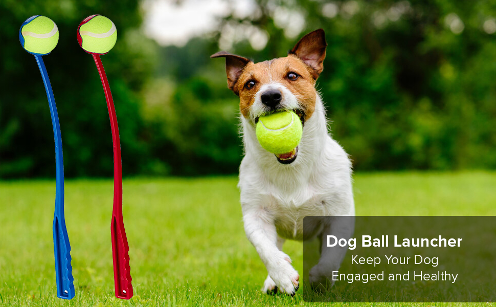 Dog Ball Launcher