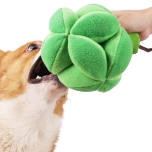 Voiakiu Broccoli Dog Treat Toy | Cute Broccoli Treat Ball Safe for Pets to Lick or Sniffle | Treat Dispensing Dog Snuffle Treat Toy for Puppies, Medium