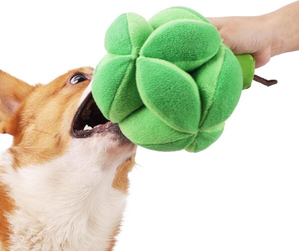 Voiakiu Broccoli Dog Treat Toy | Cute Broccoli Treat Ball Safe for Pets to Lick or Sniffle | Treat Dispensing Dog Snuffle Treat Toy for Puppies, Medium