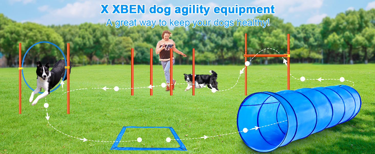 dog agility kit