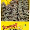 YEOWWW Natural Powerful Catnip Buds for Indoor and Outdoor Cats - Naturally Grown in North America - Very Strong Catnip Buds- Your Cats Will Love to Eat Them