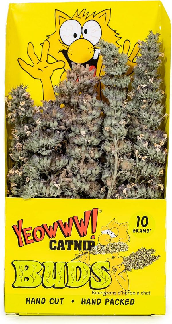 YEOWWW Natural Powerful Catnip Buds for Indoor and Outdoor Cats - Naturally Grown in North America - Very Strong Catnip Buds- Your Cats Will Love to Eat Them